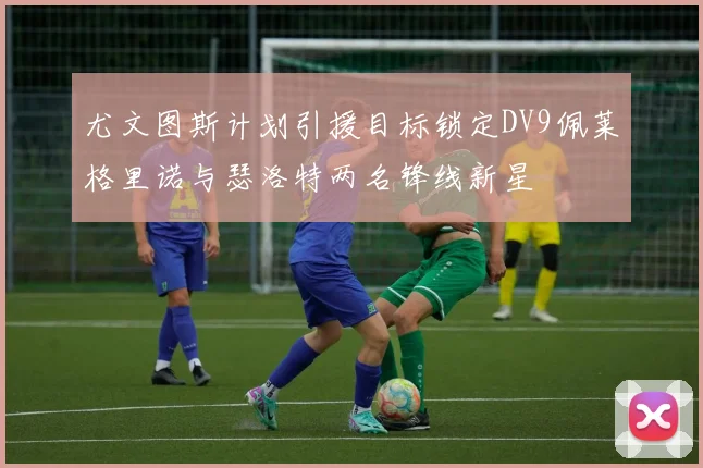 尤文图斯计划引援目标锁定DV9佩莱格里诺与瑟洛特两名锋线新星
