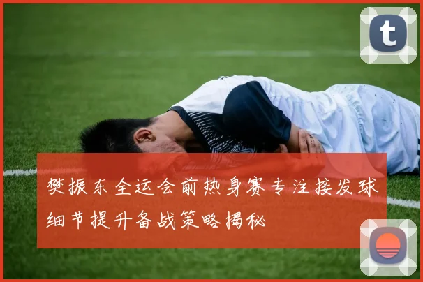 樊振东全运会前热身赛专注接发球细节提升备战策略揭秘